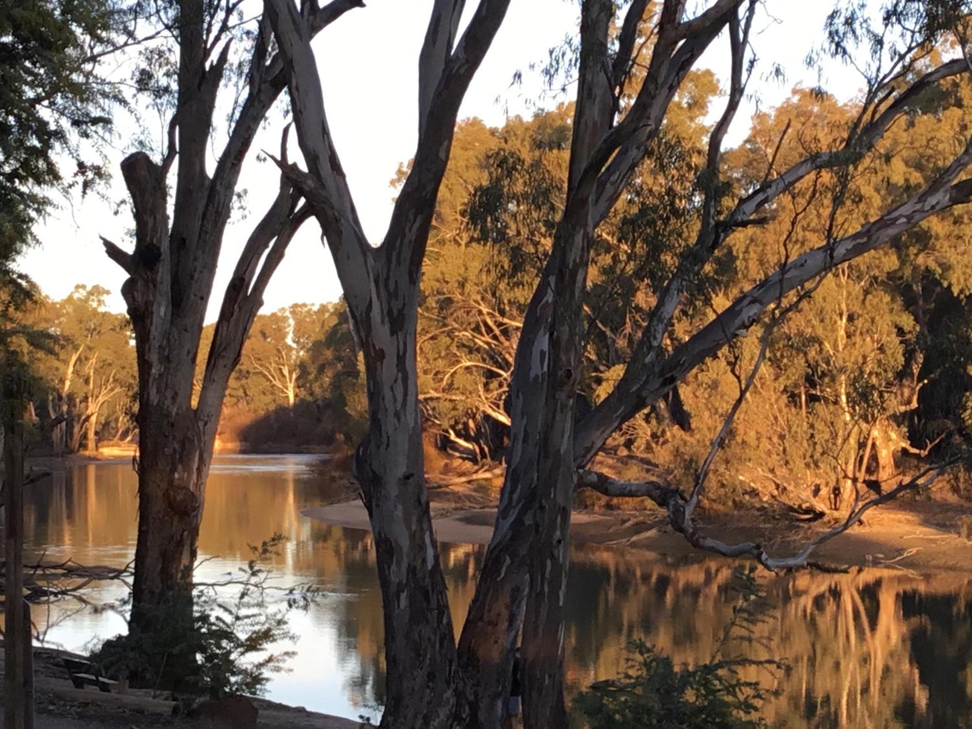 Deniliquin Riverside Caravan Park Екстер'єр фото