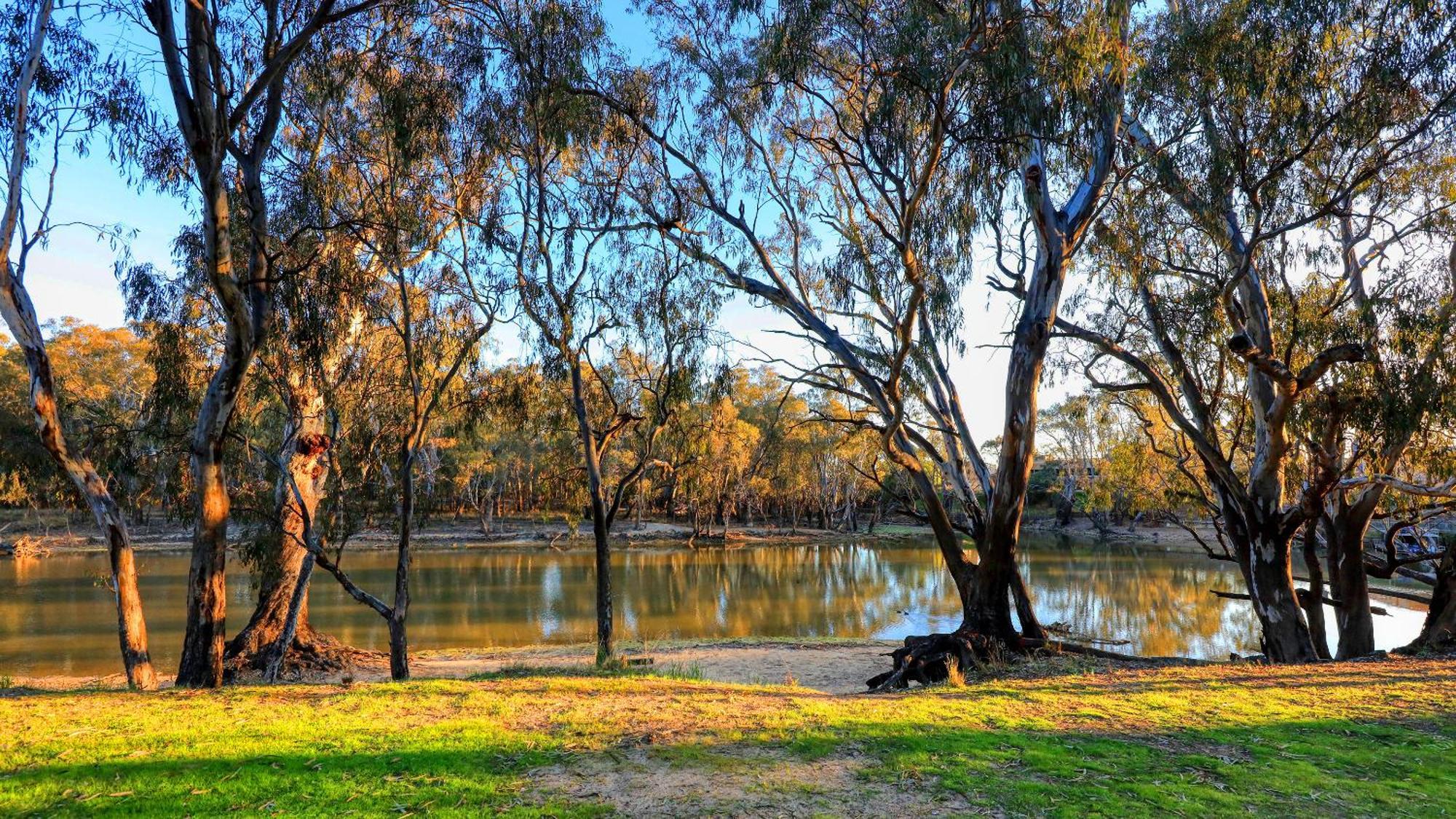 Deniliquin Riverside Caravan Park Екстер'єр фото