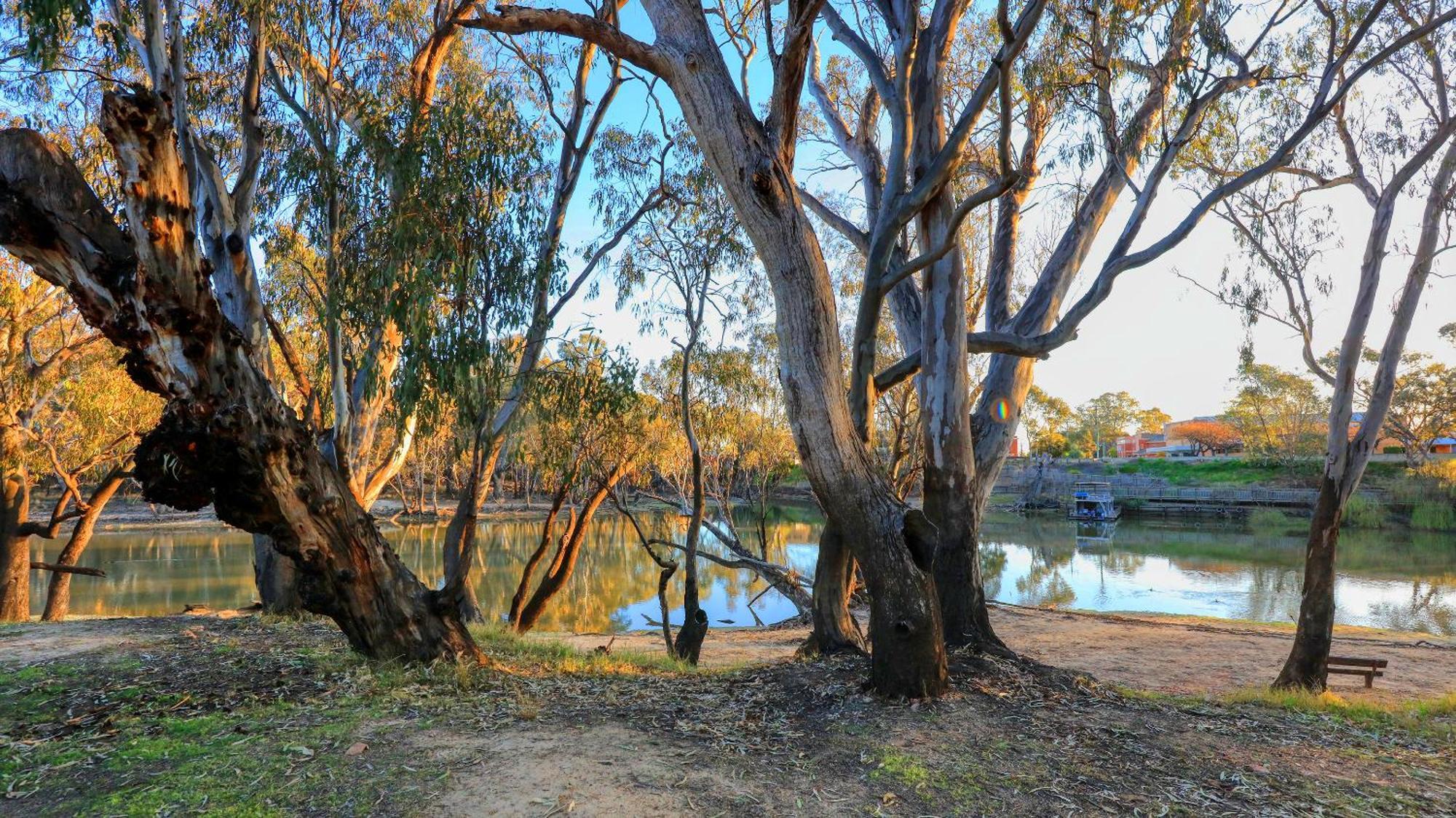 Deniliquin Riverside Caravan Park Екстер'єр фото