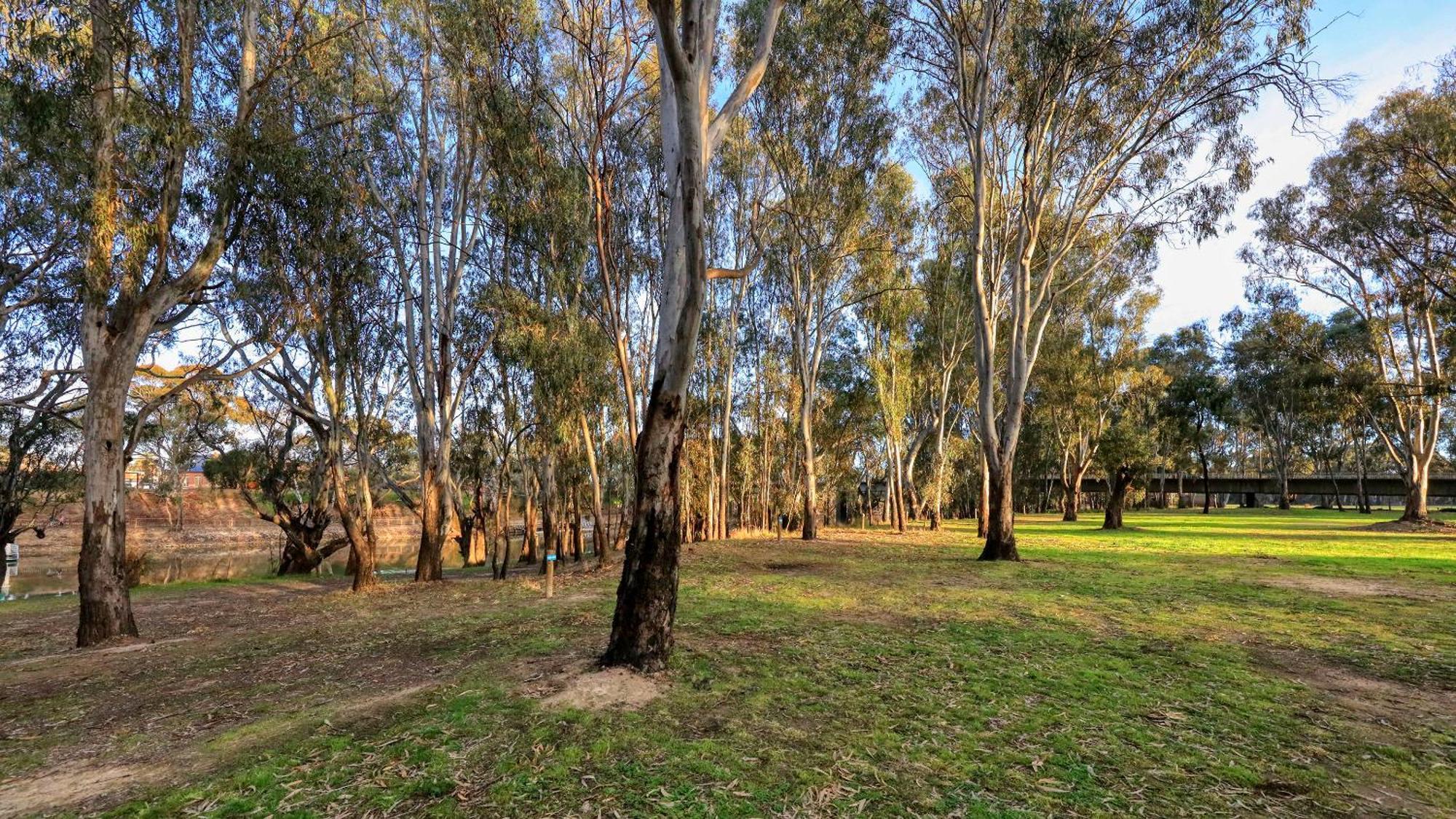 Deniliquin Riverside Caravan Park Екстер'єр фото